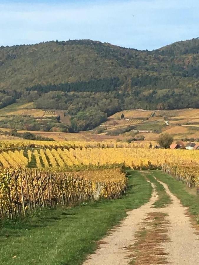 Fleur De Vigne Apartman Eguisheim Kültér fotó