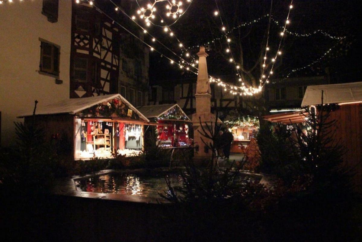 Fleur De Vigne Apartman Eguisheim Kültér fotó